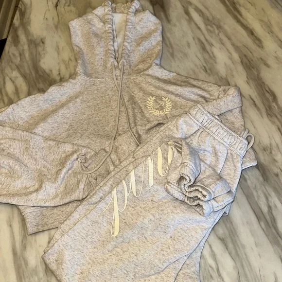PINK Victoria's Secret Gray Hoodie and Sweatpants Set - Picture 1 of 9
